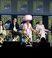 Warner_Bros__panel_during_day_3_of_Comic-Con_28229.jpg