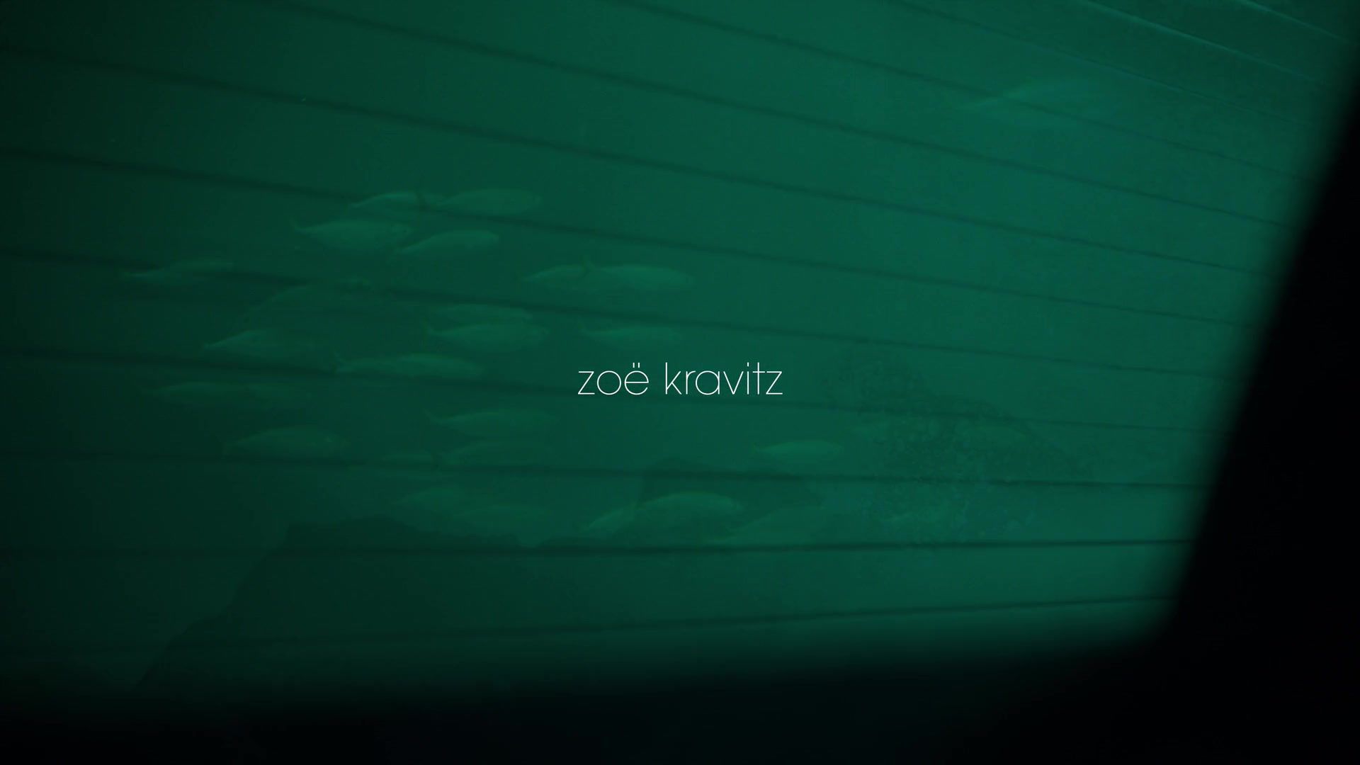 zoekravitzcom-0002.jpg