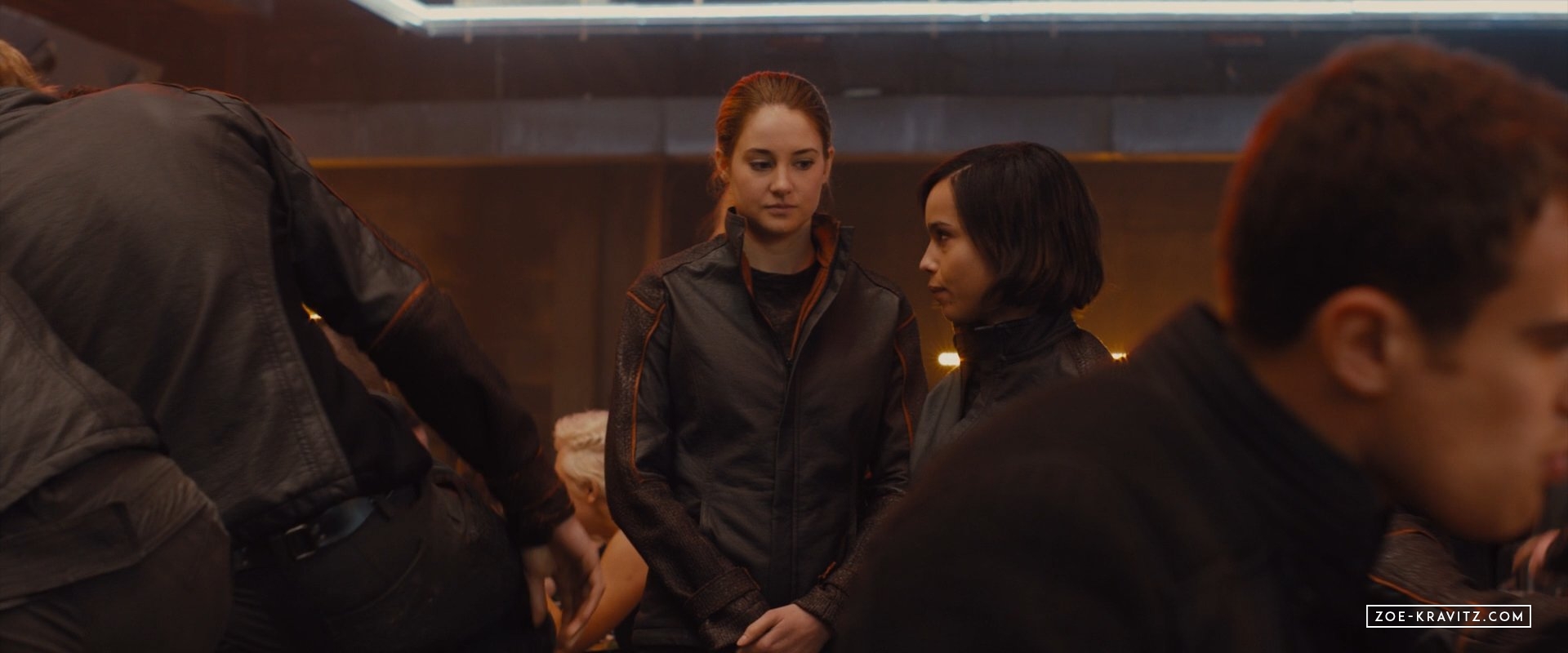 divergent2014_01808.jpg