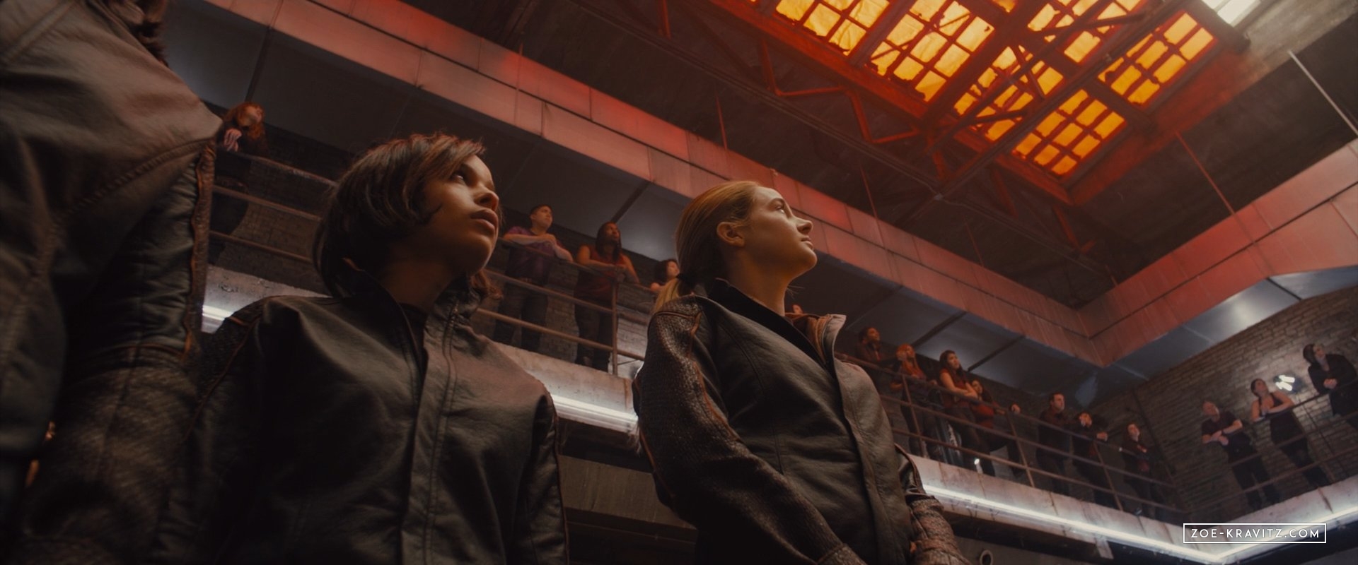 divergent2014_01965.jpg