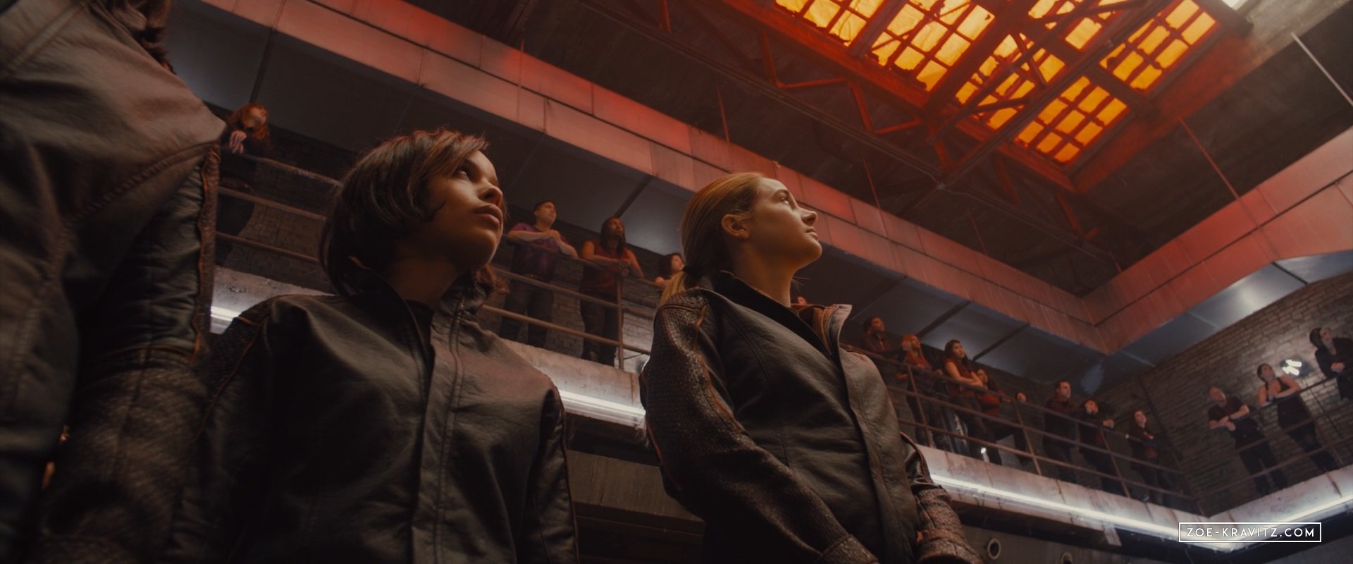 divergent2014_01966.jpg