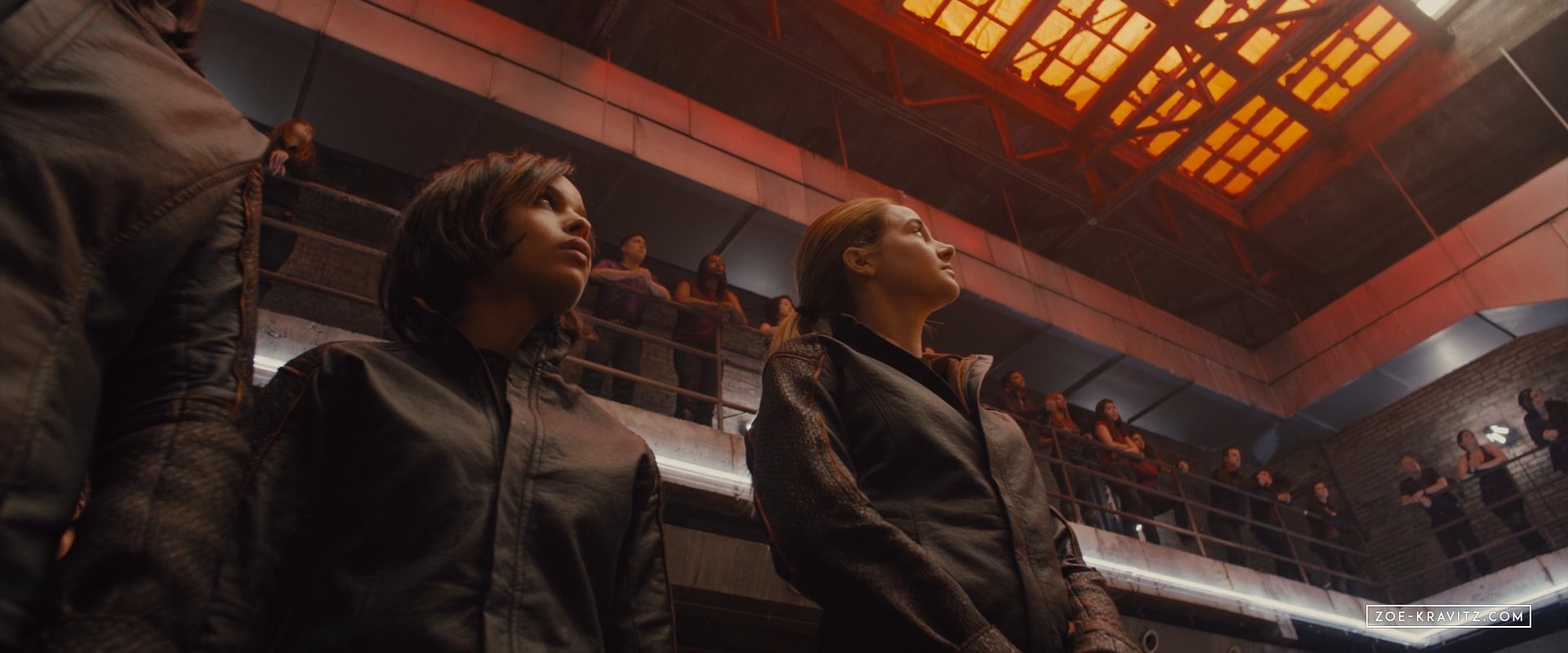 divergent2014_01967.jpg