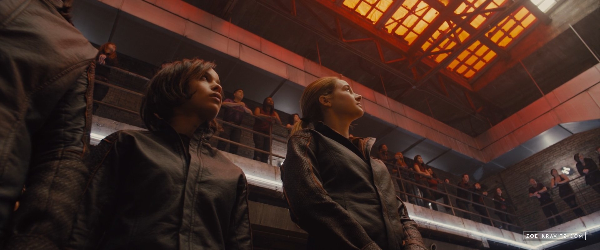 divergent2014_01968.jpg