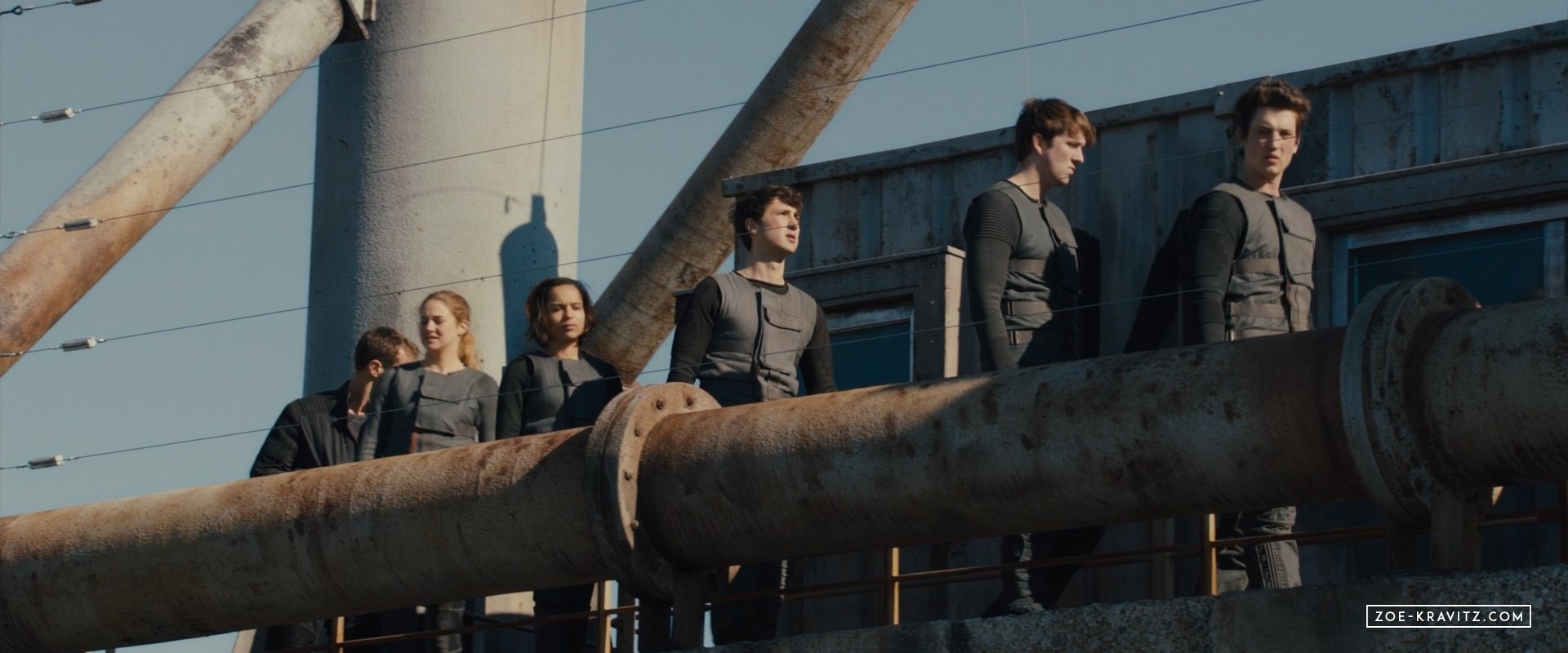 divergent2014_02753.jpg