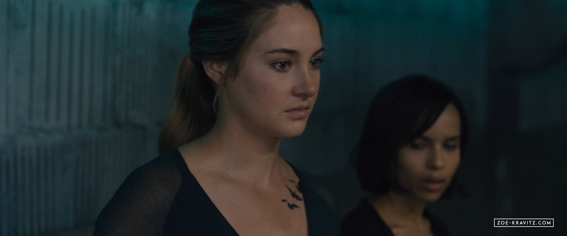 divergent2014_03182.jpg