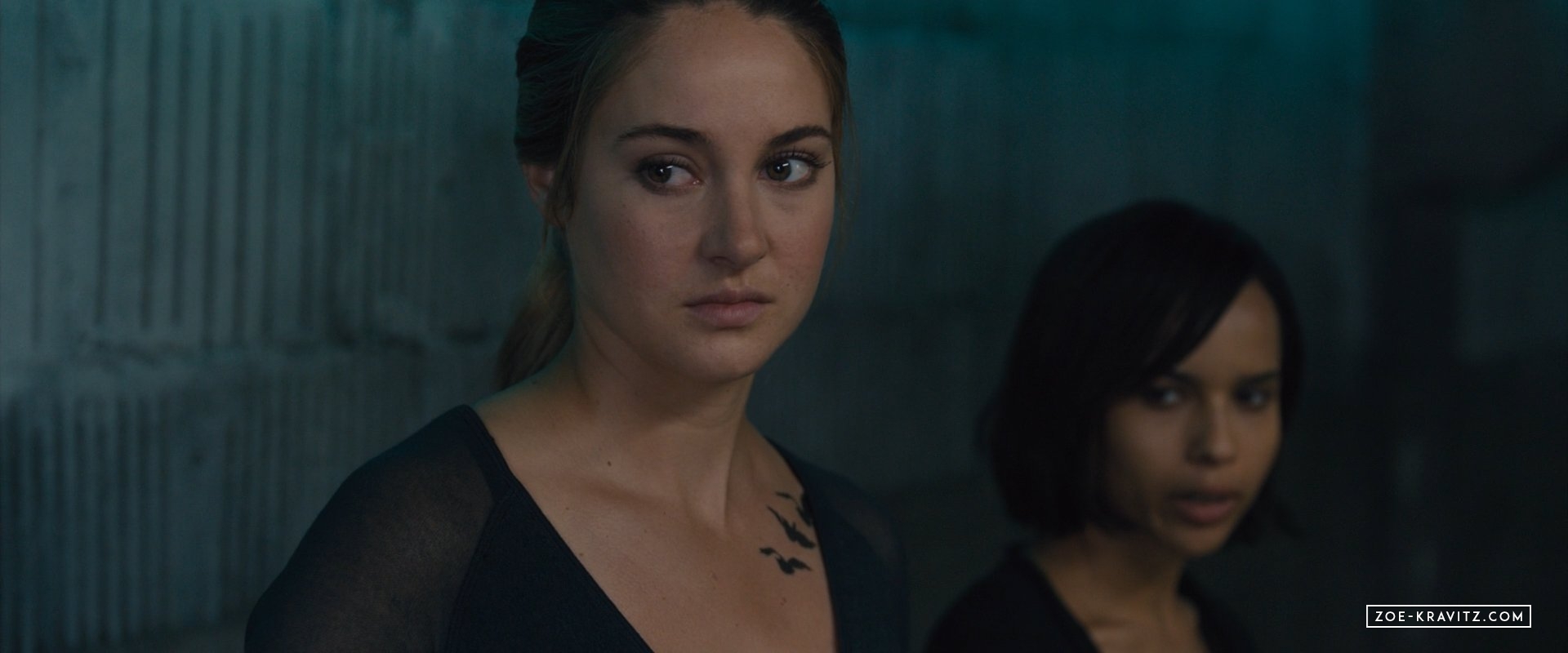 divergent2014_03183.jpg