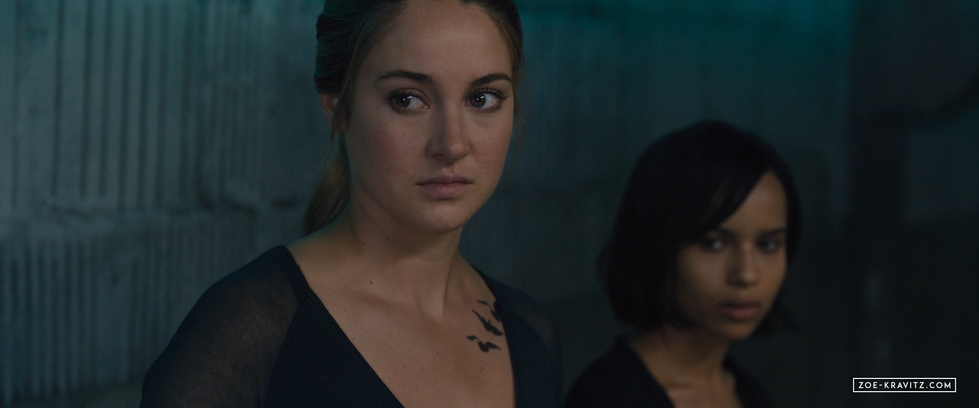 divergent2014_03184.jpg