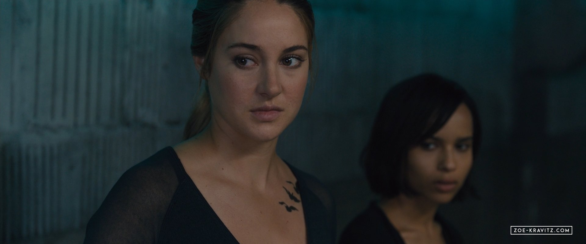 divergent2014_03185.jpg