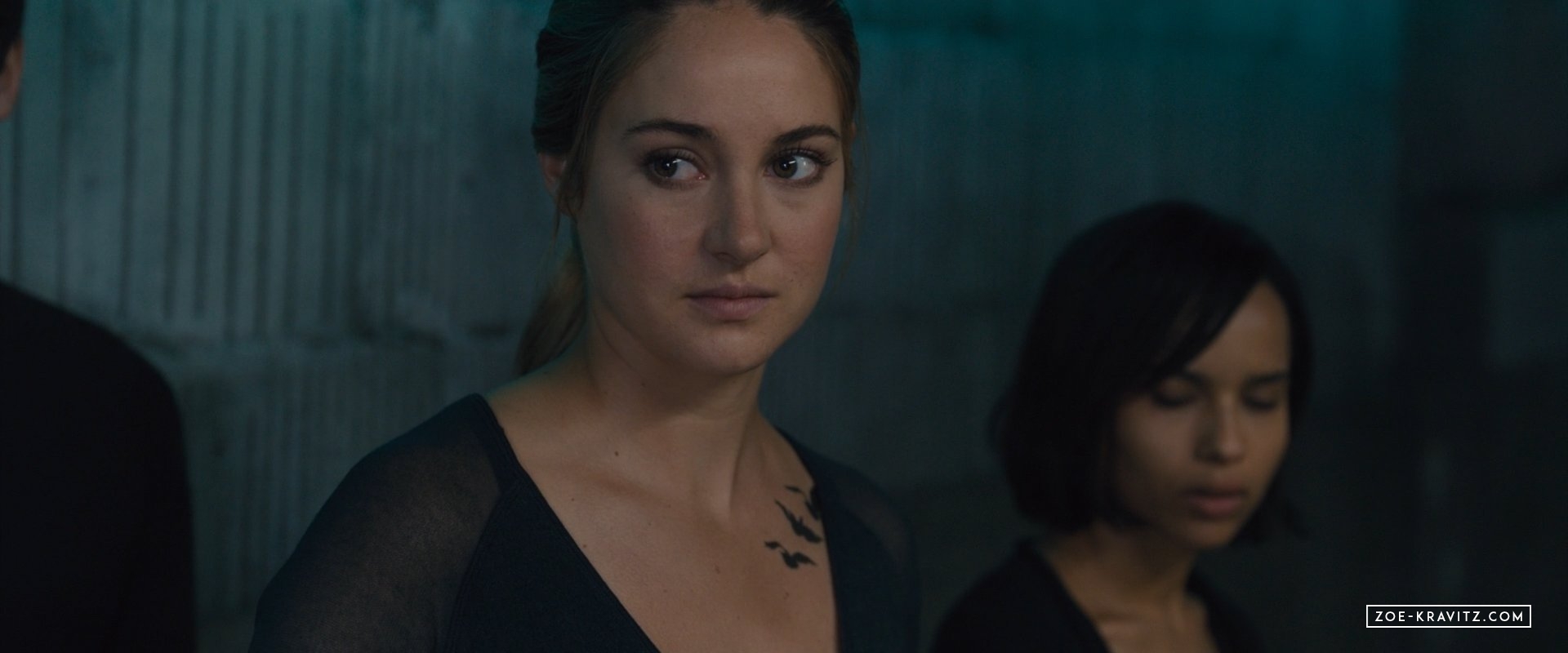 divergent2014_03186.jpg