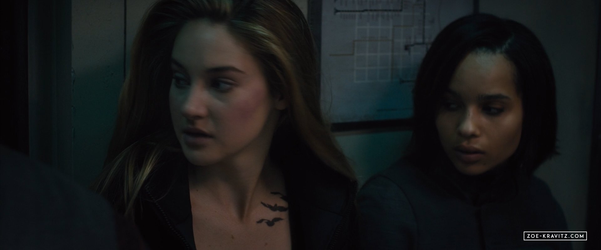 divergent2014_03505.jpg