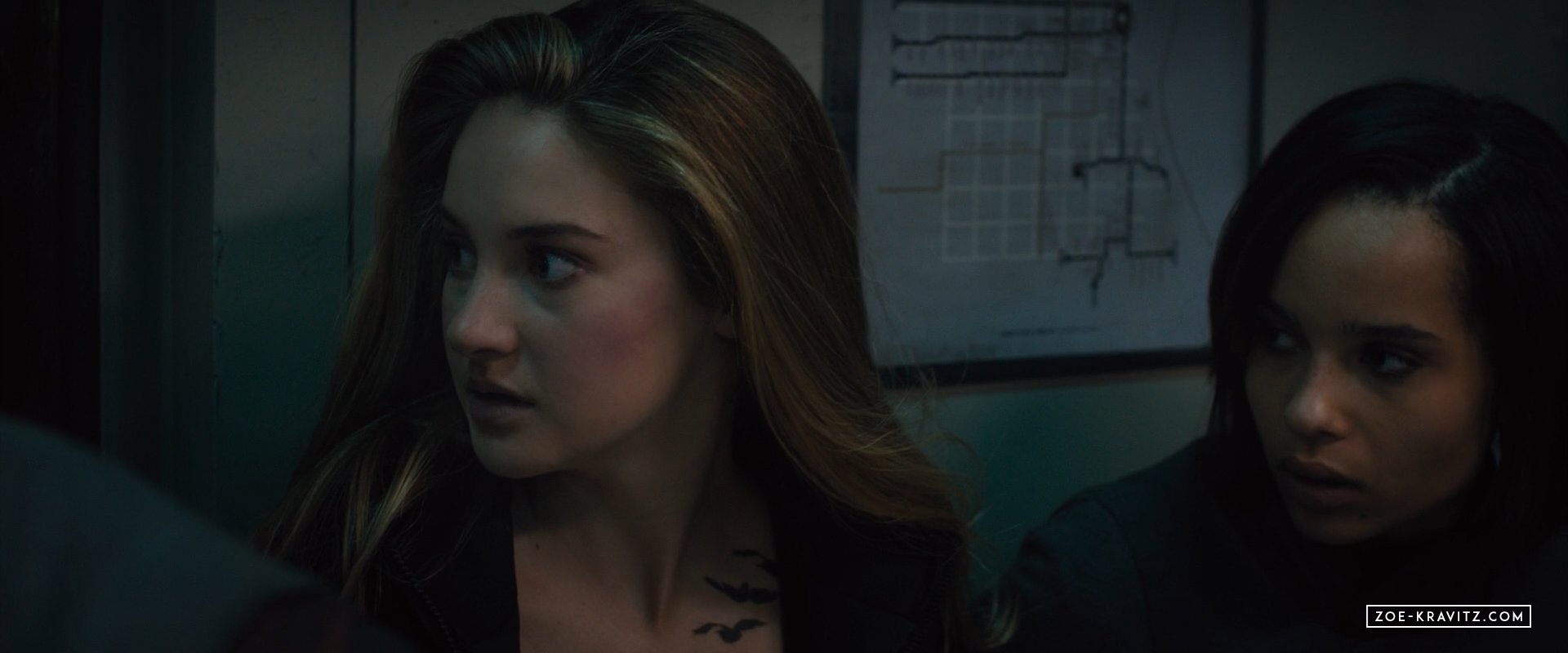 divergent2014_03506.jpg