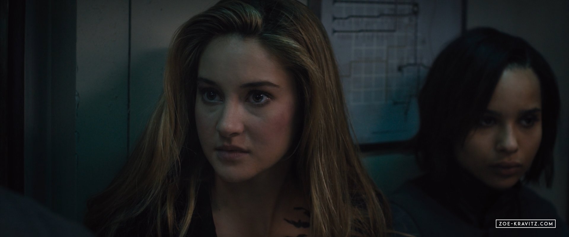 divergent2014_03519.jpg