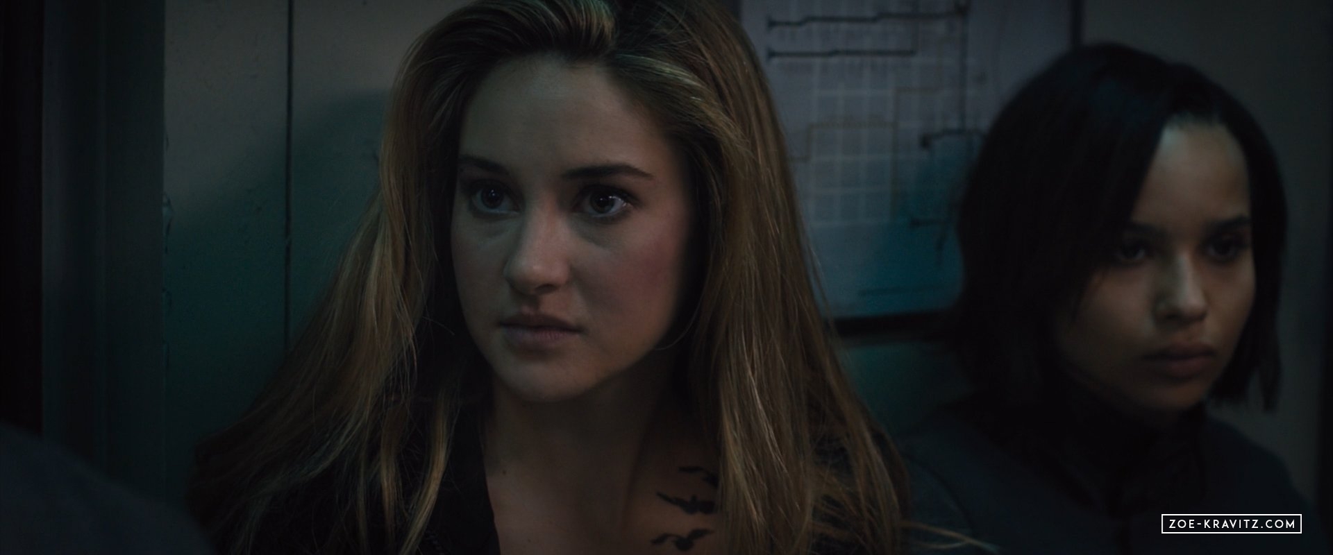 divergent2014_03520.jpg