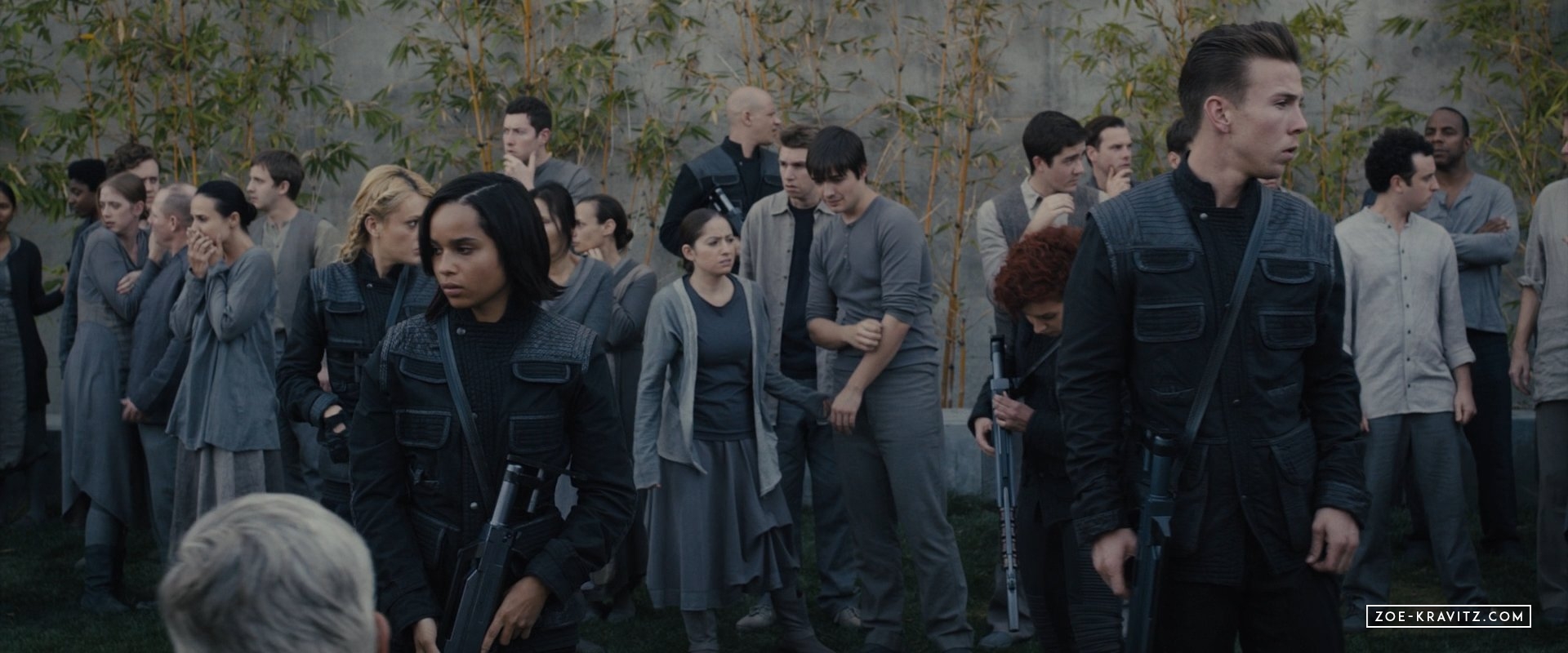 divergent2014_08272.jpg