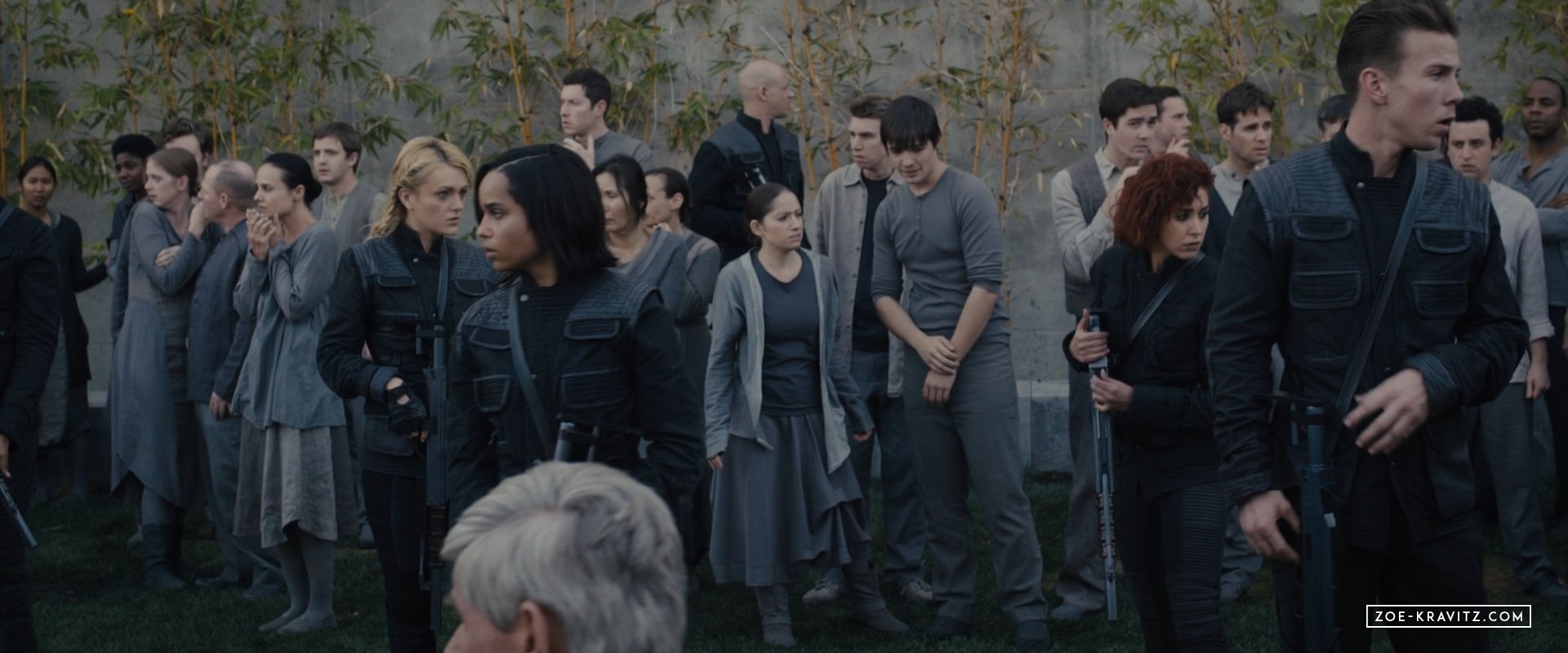 divergent2014_08273.jpg