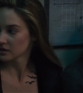 divergent2014_03505.jpg