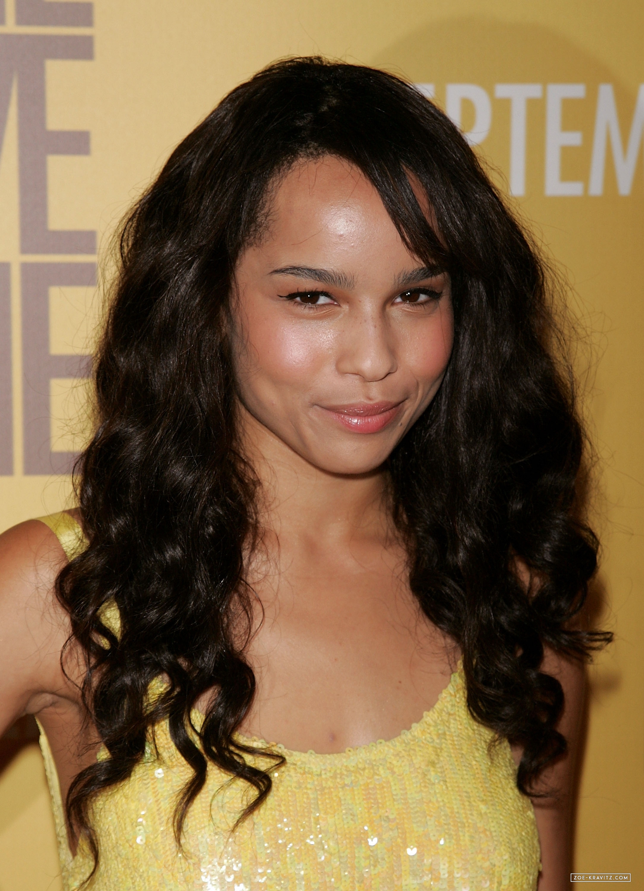 Zoe_Kravitz_attending_The_Brave_One_premiere_in_NY_03.jpg