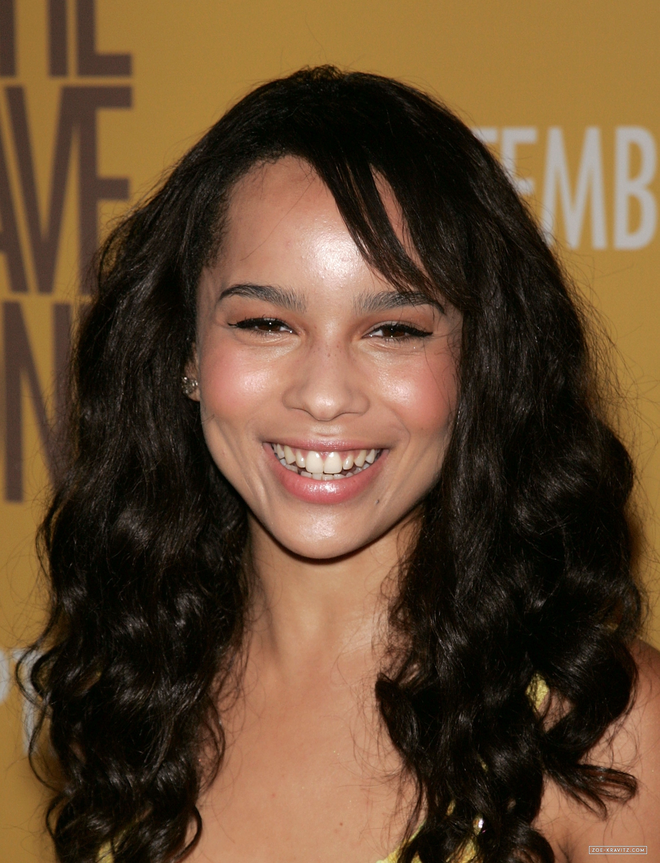 Zoe_Kravitz_attending_The_Brave_One_premiere_in_NY_04.jpg