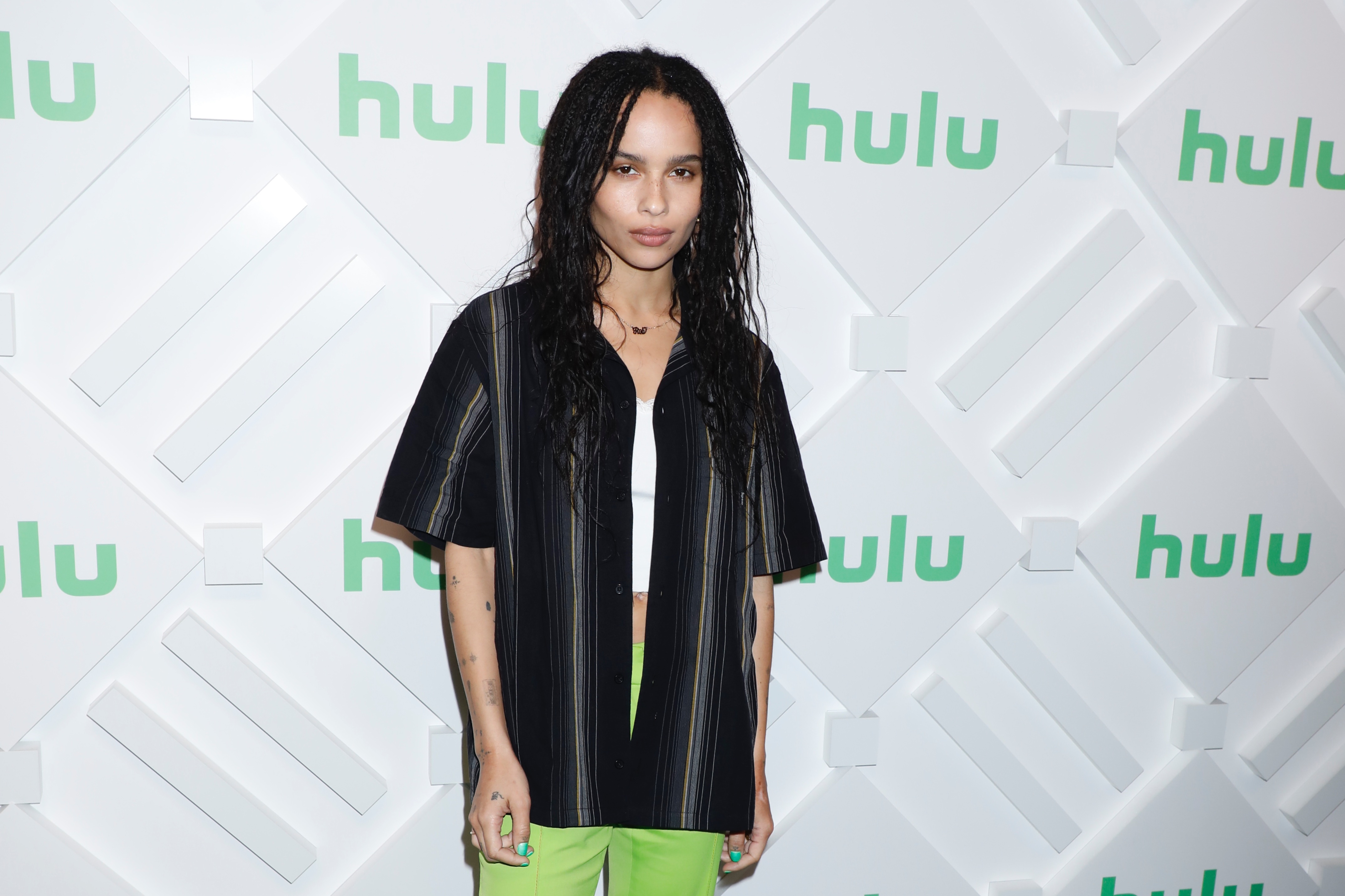 Hulu_2019_Upfront_Presentation_in_NYC_282329.jpg