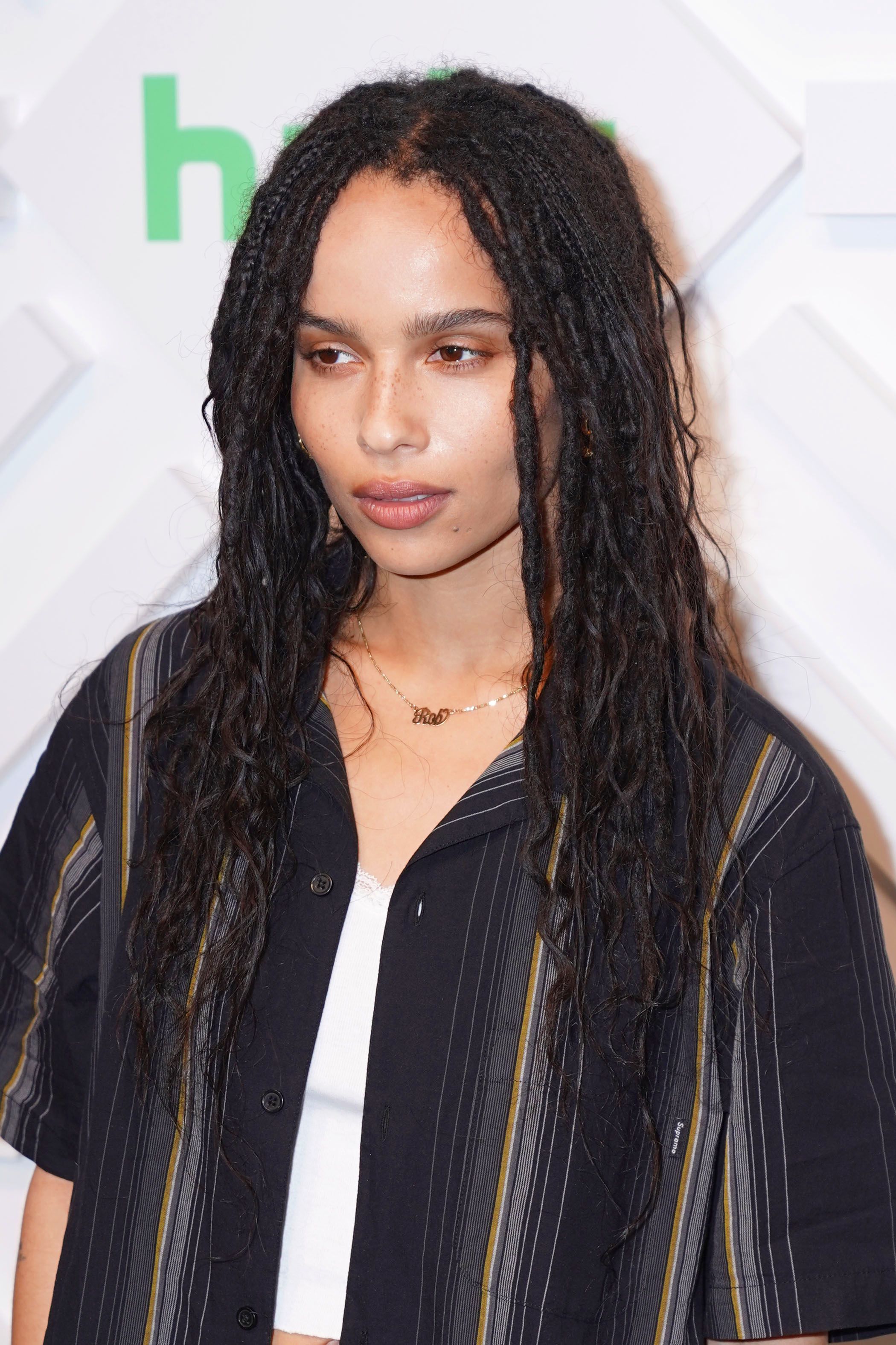 Hulu_2019_Upfront_Presentation_in_NYC_282429.jpg