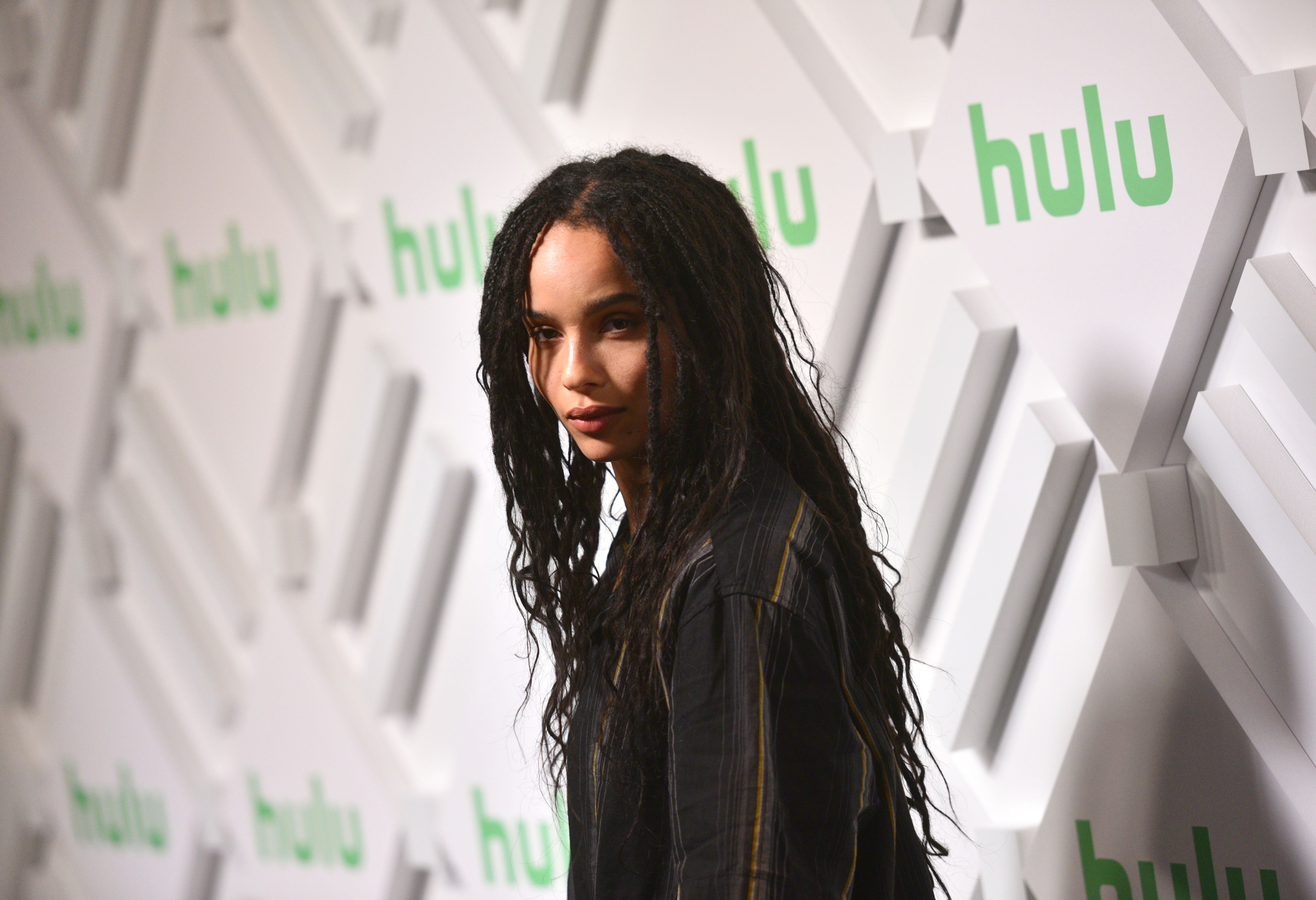 Hulu_2019_Upfront_Presentation_in_NYC_283129.jpg