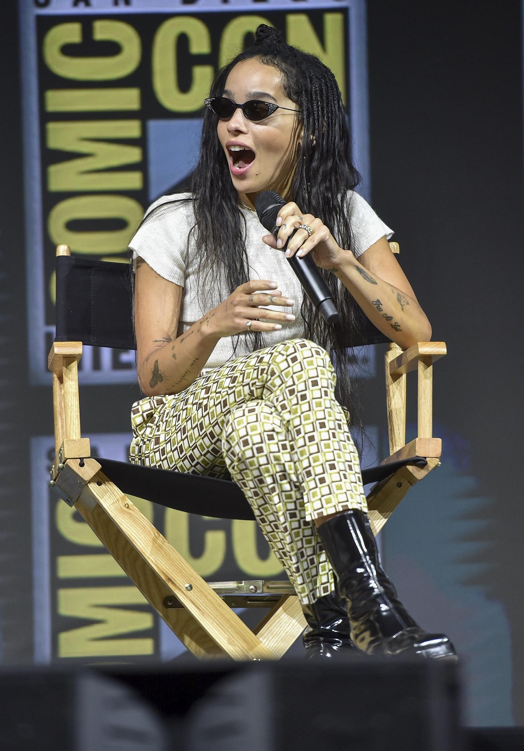 Warner_Bros__panel_during_day_3_of_Comic-Con_28429.jpg
